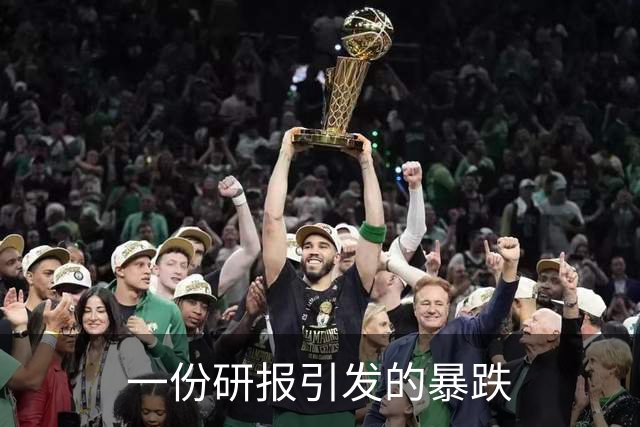 一份研报引发的暴跌