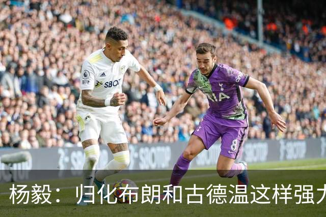 杨毅：归化布朗&古德温这样强力后卫 国家队像CBA一样解决大量问题
