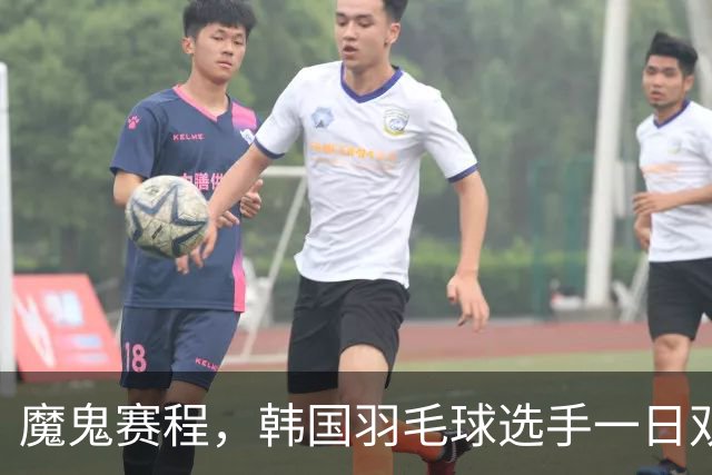 魔鬼赛程，韩国羽毛球选手一日双赛伤退，坐轮椅离场